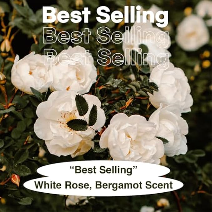 skybottle WHITE RAIN PERFUMED HAND WASH - Image 2